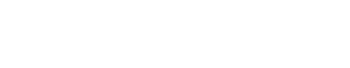 bidnex-logo